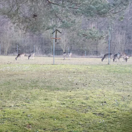 Winzerhof Duering Iphofen