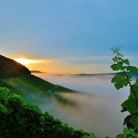 Apartment Winzerhof Duering *
