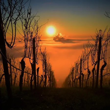 Winzerhof Duering *