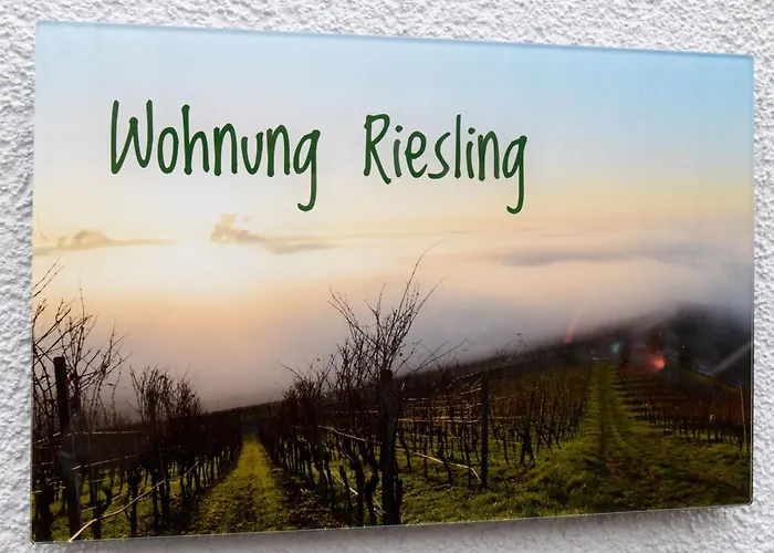 Winzerhof Duering 이포펜