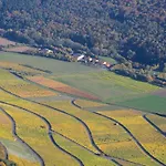 Winzerhof Duering Iphofen