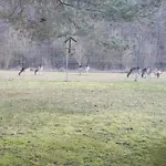 Winzerhof Duering