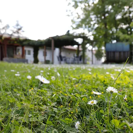 Winzerhof Duering Apartament